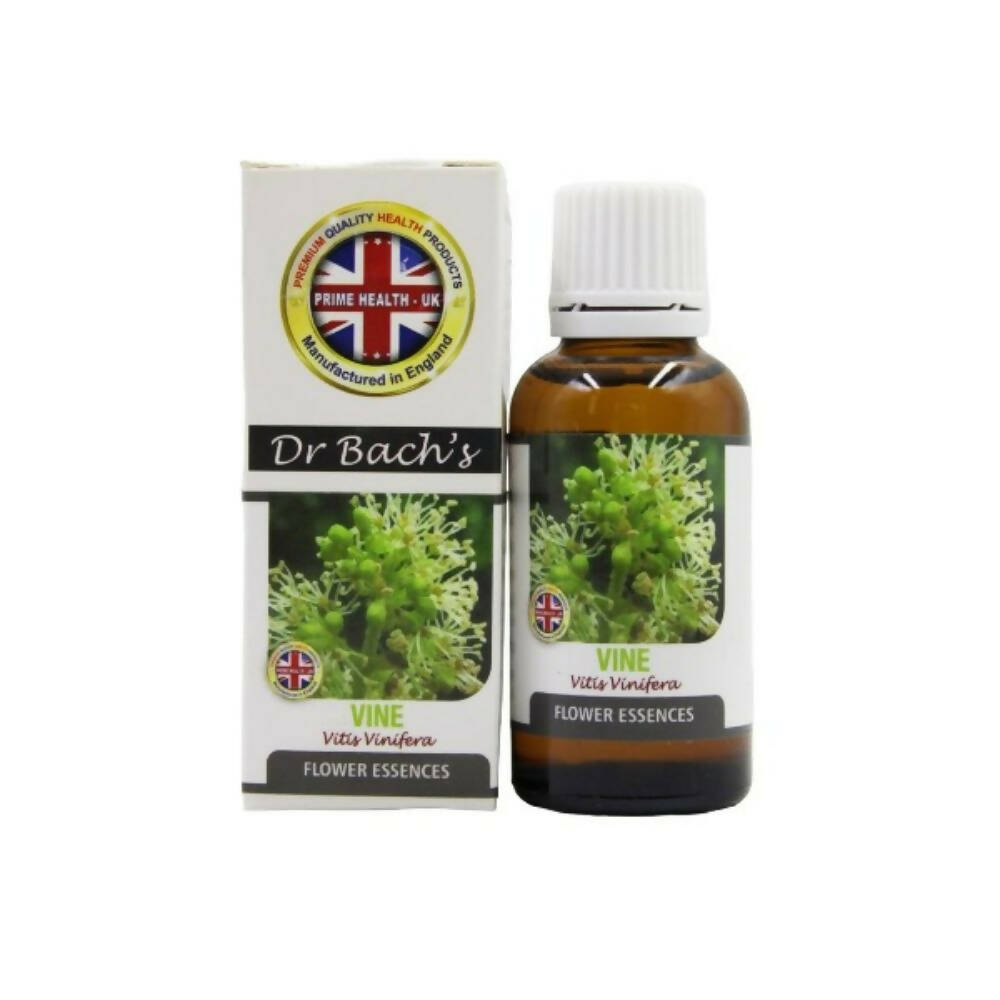 https://cdn.shopify.com/s/files/1/1857/6931/products/ET3VVhZCLN.jpg?v=1762366283