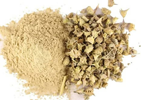 https://cdn.shopify.com/s/files/1/1857/6931/products/EzTO6aKPBm.jpg?v=1762333183