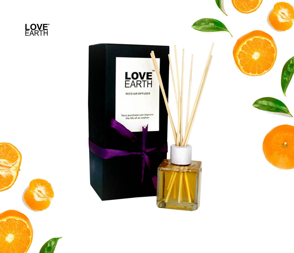 https://cdn.shopify.com/s/files/1/1857/6931/products/FJ3ViEbNJ9.jpg?v=1665840638