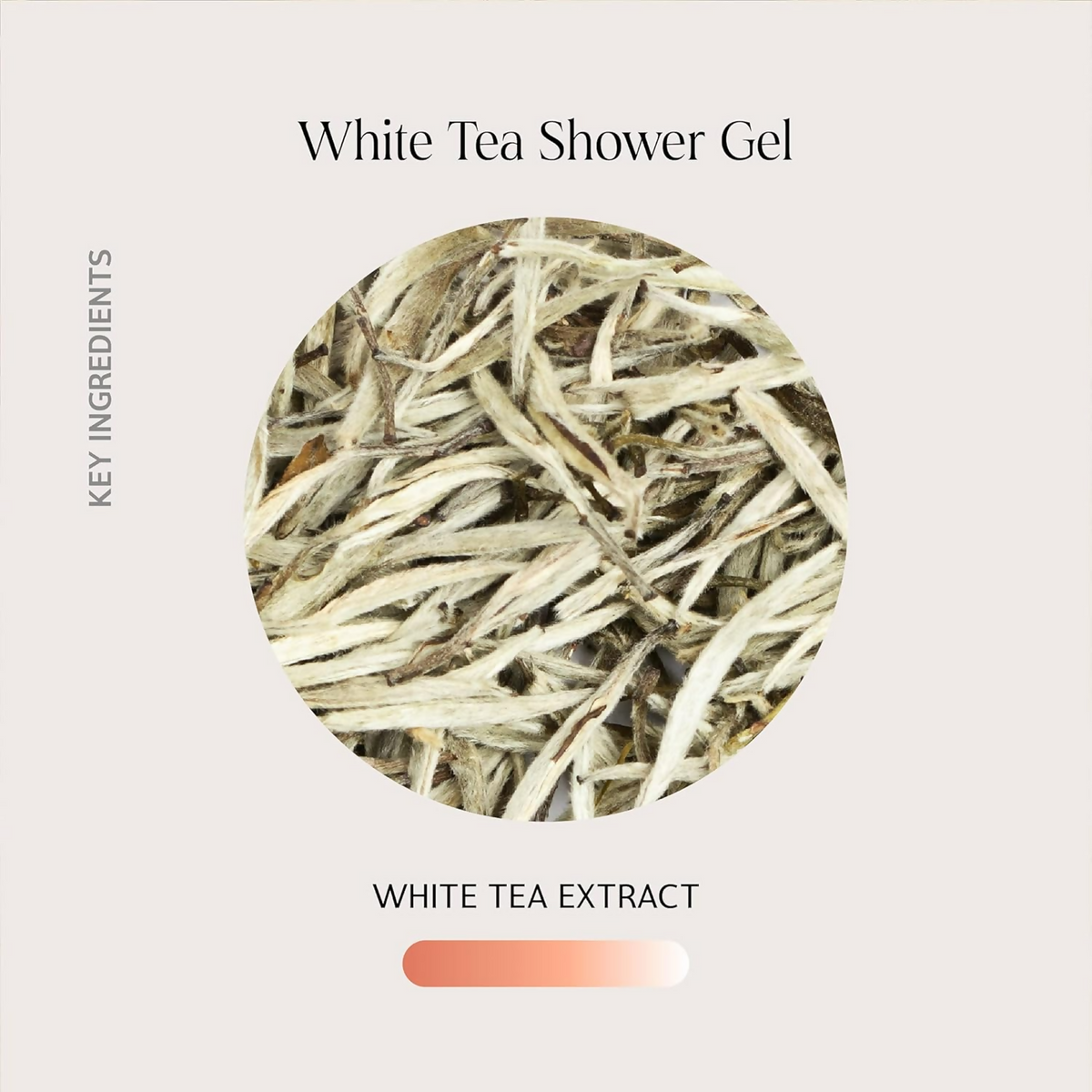 Image 6 of Oteria White Tea Body Shower Gel For Sun-Damaged Skin Suitable For All Skin Types