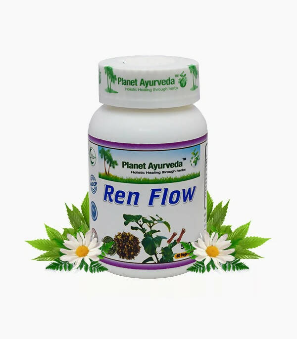 https://cdn.shopify.com/s/files/1/1857/6931/products/G1ueyfdHHo.jpg?v=1759355777