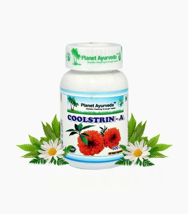https://cdn.shopify.com/s/files/1/1857/6931/products/GGuvKTJWn0.jpg?v=1762350896