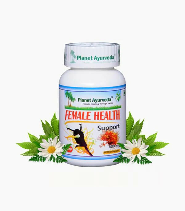 https://cdn.shopify.com/s/files/1/1857/6931/products/GV6yf5MmYk.jpg?v=1762350858