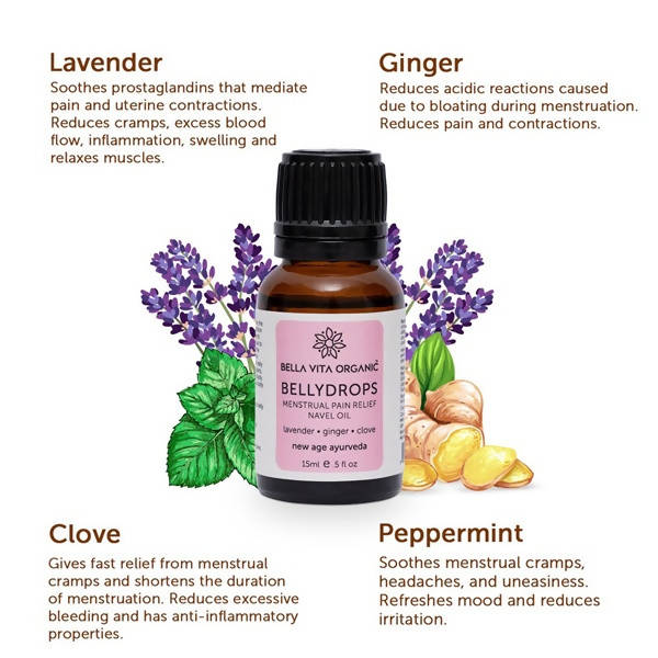 https://cdn.shopify.com/s/files/1/1857/6931/products/GXbLp0rVCc.jpg?v=1625797805