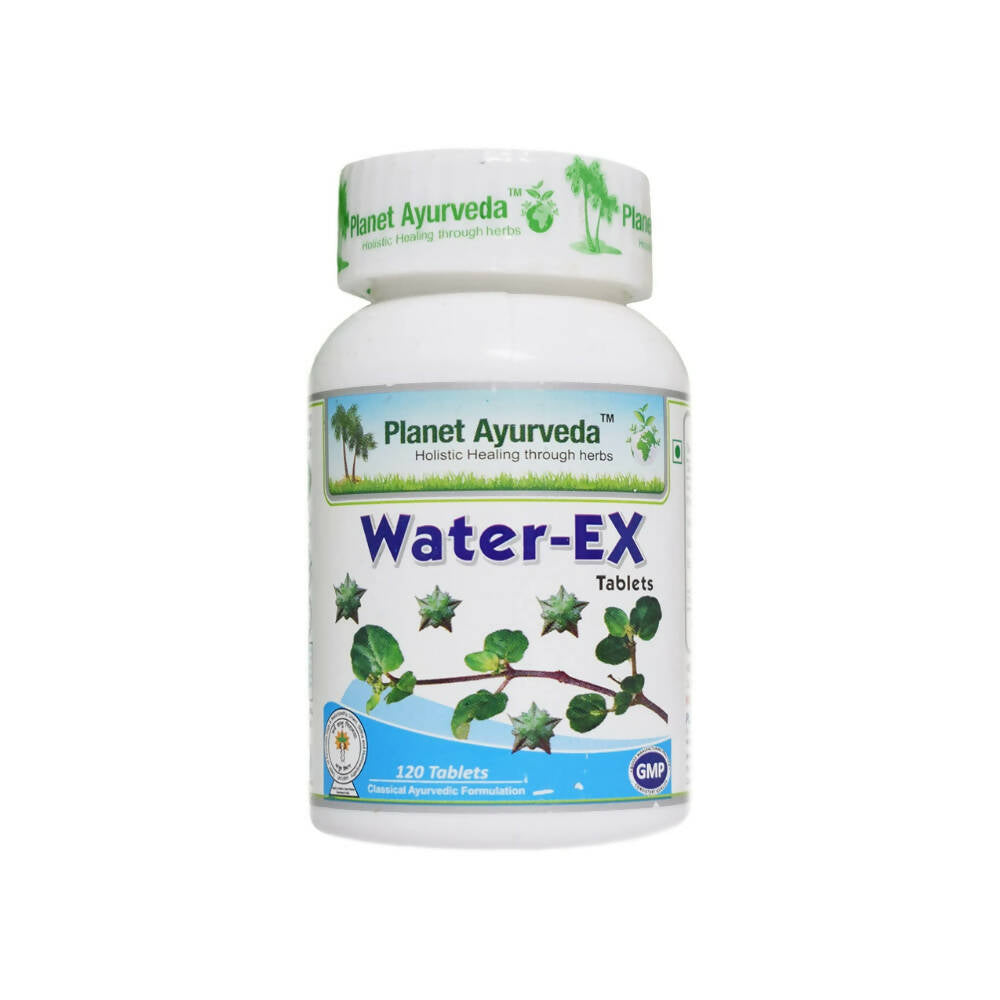 https://cdn.shopify.com/s/files/1/1857/6931/products/H8fT2UjdcB.jpg?v=1762350870