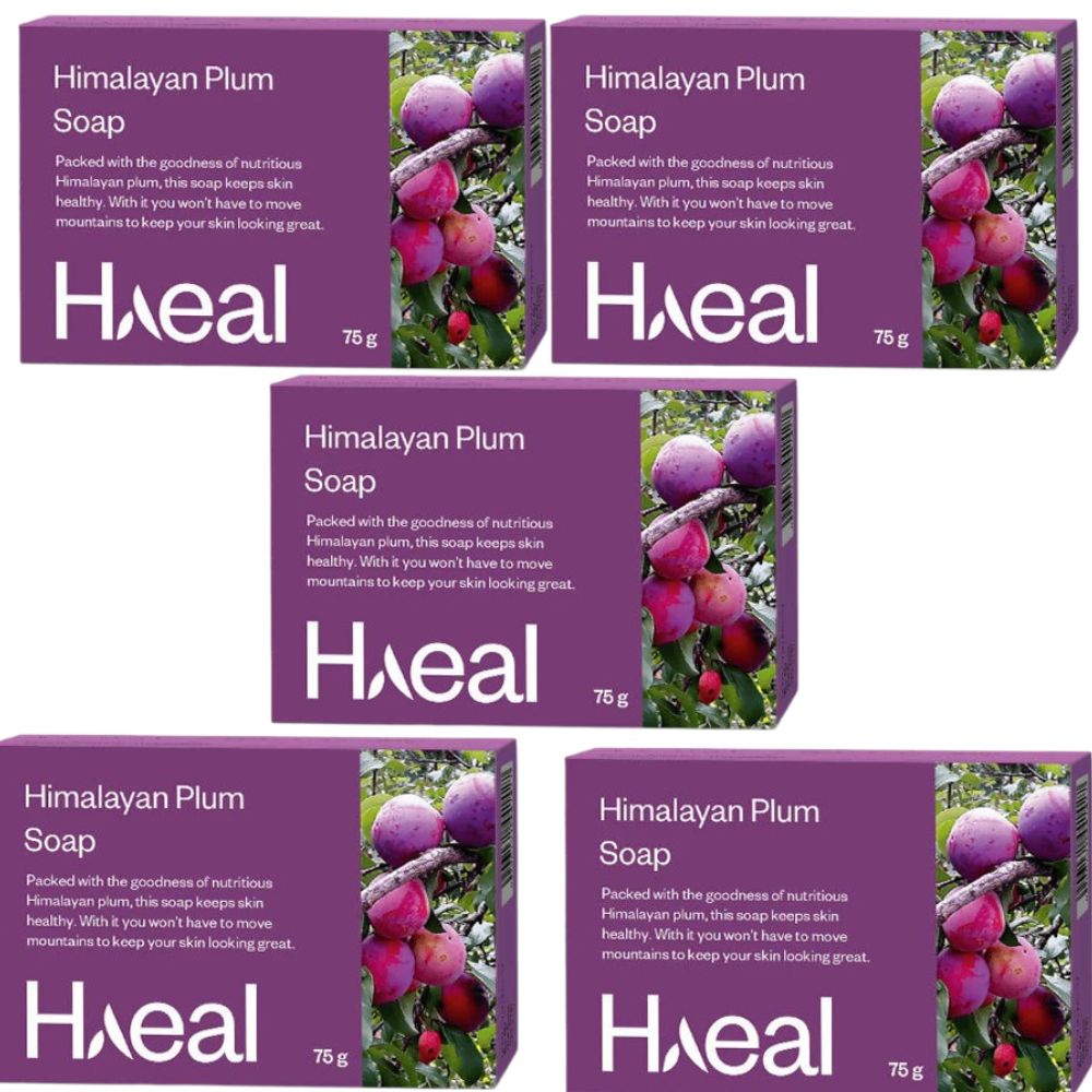 https://cdn.shopify.com/s/files/1/1857/6931/files/HAEAL-GENIE-24500-03_ebf1fd7f-2c80-4682-8f92-15cb88e936ef.jpg?v=1756823377