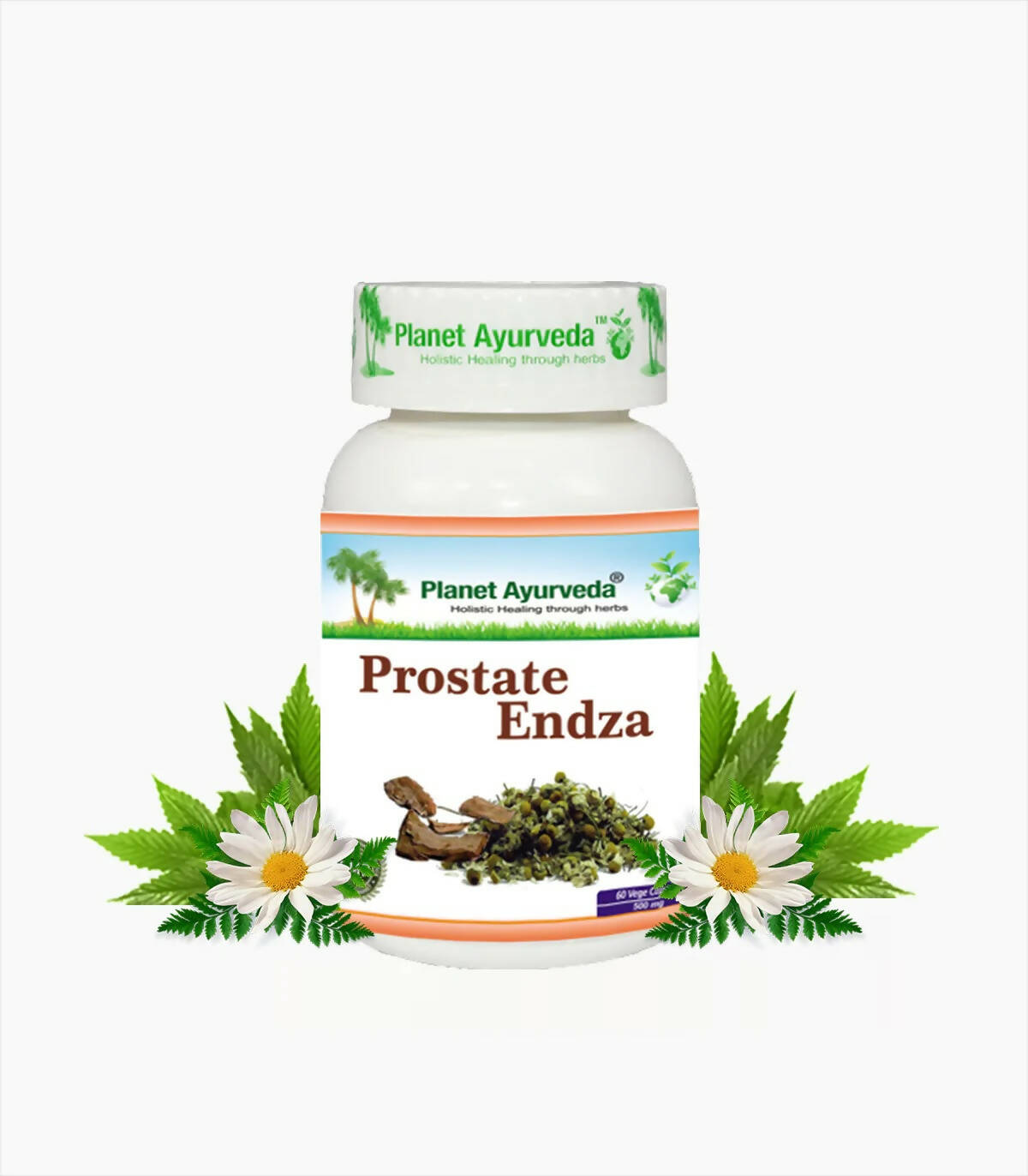https://cdn.shopify.com/s/files/1/1857/6931/products/HaJZNRj3oa.jpg?v=1762350670