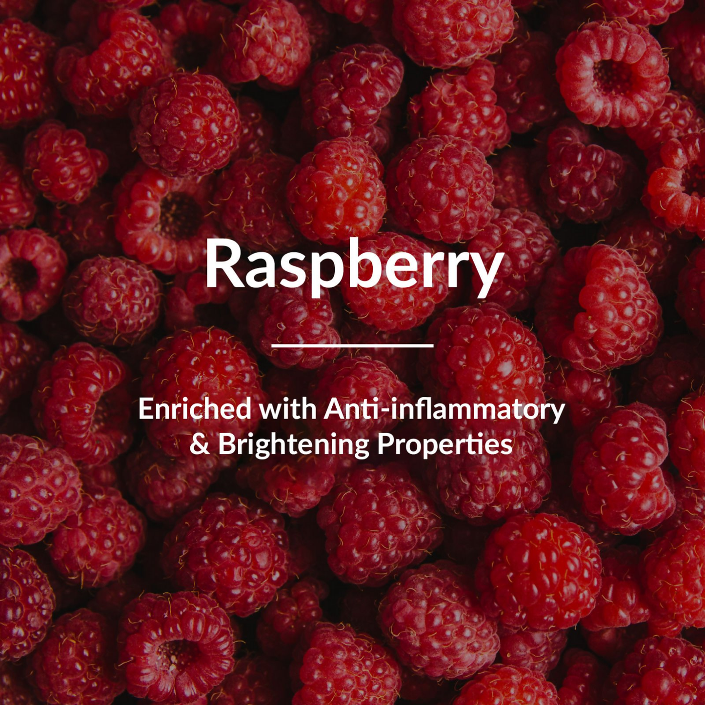 https://cdn.shopify.com/s/files/1/1857/6931/files/HfMBopEs49.png?v=1752737598