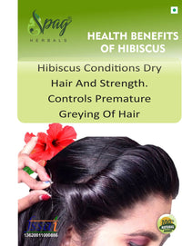https://cdn.shopify.com/s/files/1/1857/6931/products/Hibiscus25.jpg?v=1681992024