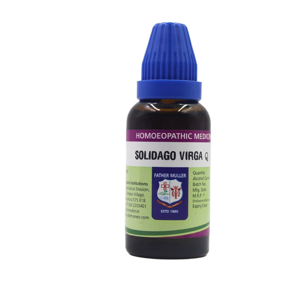 https://cdn.shopify.com/s/files/1/1857/6931/files/IgANYZWFon.jpg?v=1716986788