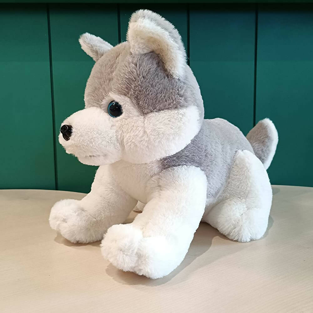 https://cdn.shopify.com/s/files/1/1857/6931/products/Ih1UVeN7CB.jpg?v=1666249839