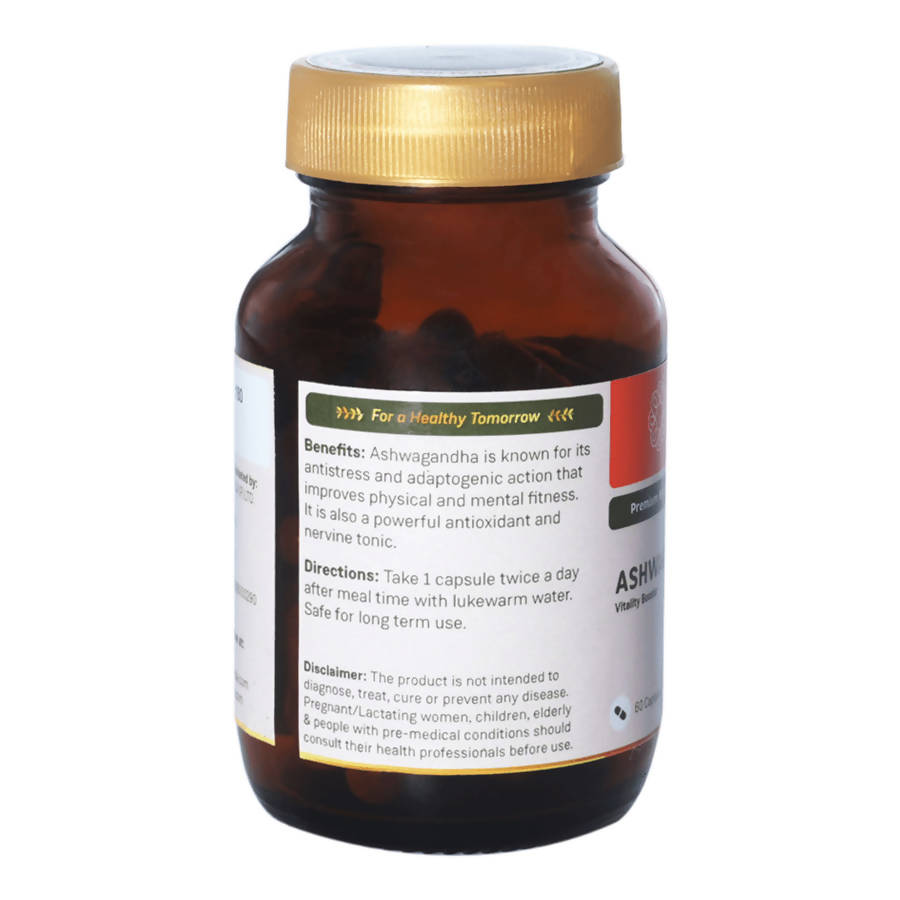 https://cdn.shopify.com/s/files/1/1857/6931/products/JucM1Ugt0R.jpg?v=1640776410