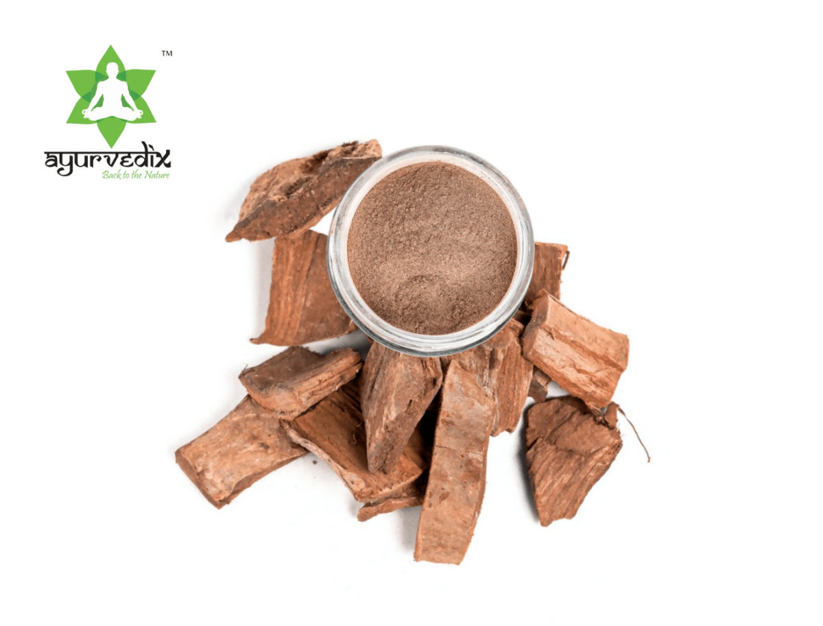 https://cdn.shopify.com/s/files/1/1857/6931/files/KDfxXoKT0j-914793.png?v=1736151179