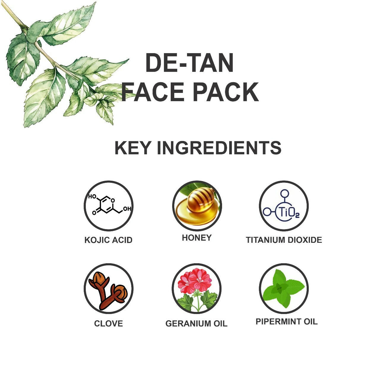 https://cdn.shopify.com/s/files/1/1857/6931/files/KFu8g9KAJl.jpg?v=1736944947