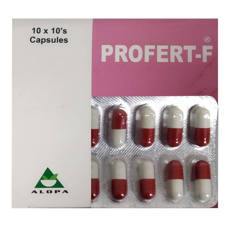 https://cdn.shopify.com/s/files/1/1857/6931/files/LxQrdQNpOI-135868.jpg?v=1736146677