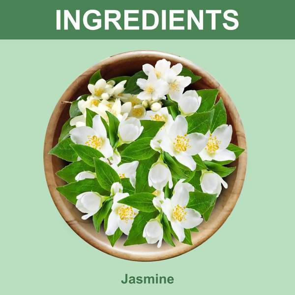https://cdn.shopify.com/s/files/1/1857/6931/products/MVkLmrc3TA.jpg?v=1634649896