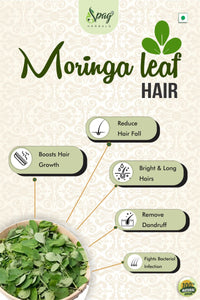 https://cdn.shopify.com/s/files/1/1857/6931/products/Moringa1_ae284254-4b34-4c00-b5eb-769ee6bc3a43.jpg?v=1681993853