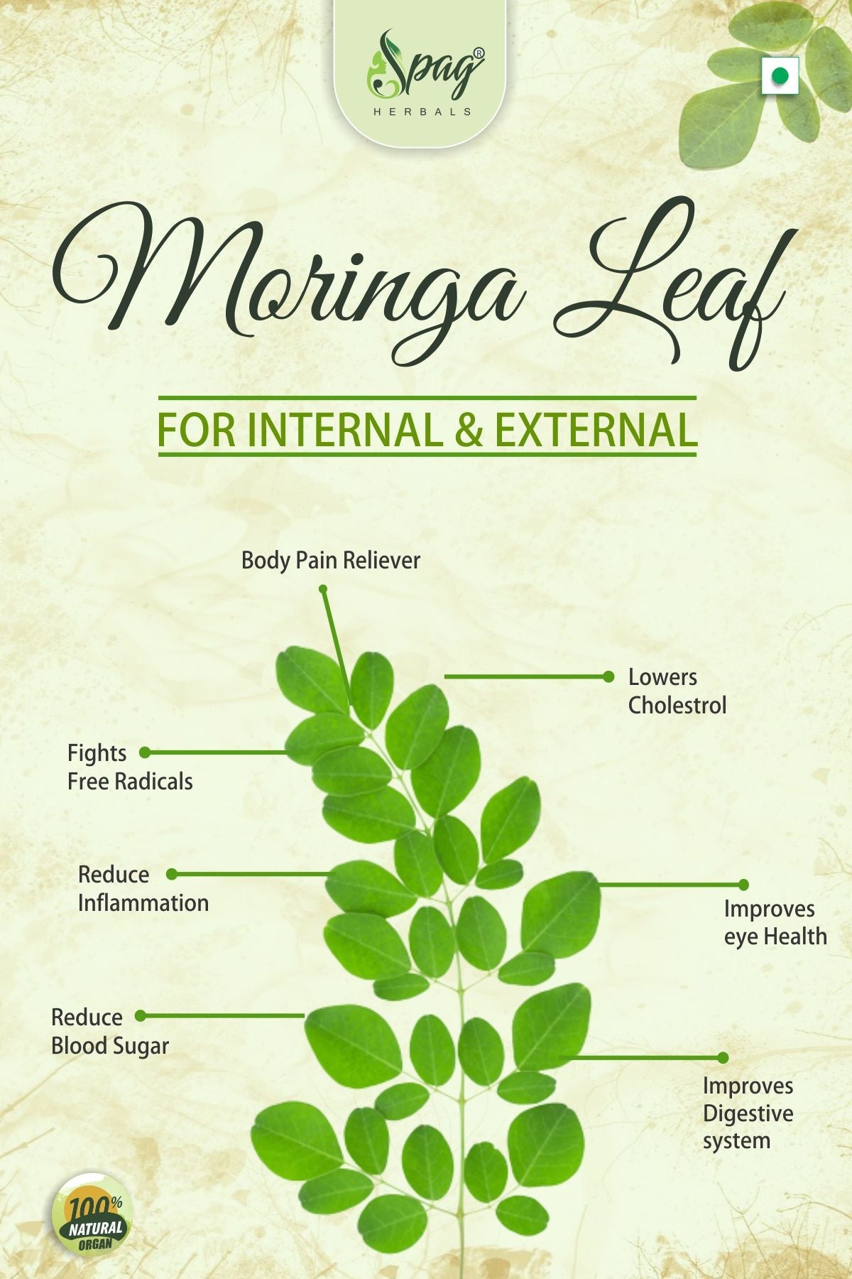 https://cdn.shopify.com/s/files/1/1857/6931/products/Moringa2.jpg?v=1681993853