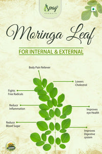 https://cdn.shopify.com/s/files/1/1857/6931/products/Moringa2.jpg?v=1681993853