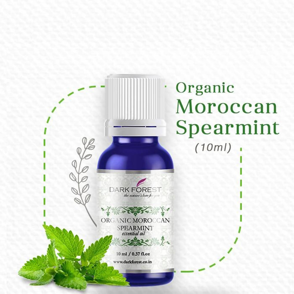 https://cdn.shopify.com/s/files/1/1857/6931/products/NN057xKECN.jpg?v=1622476142
