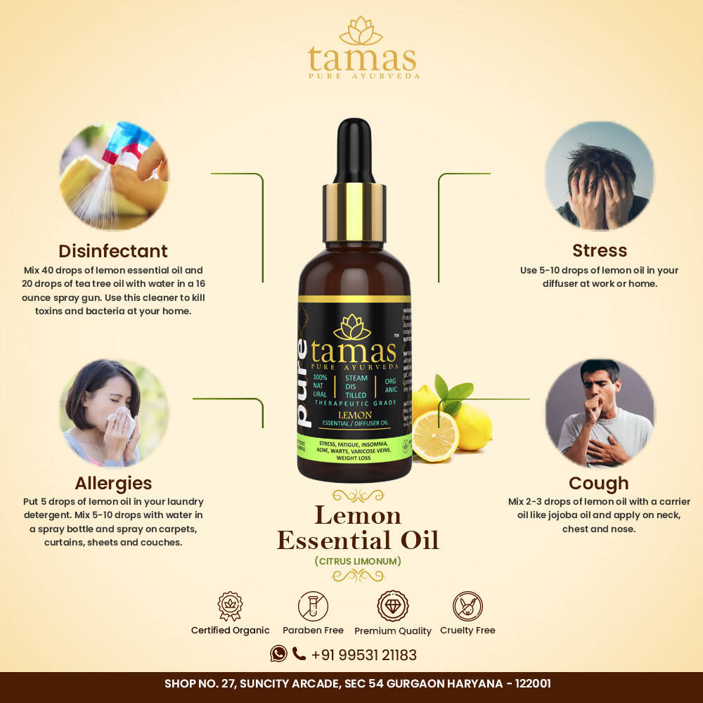 https://cdn.shopify.com/s/files/1/1857/6931/products/OYZz5xe6p0.jpg?v=1626402541