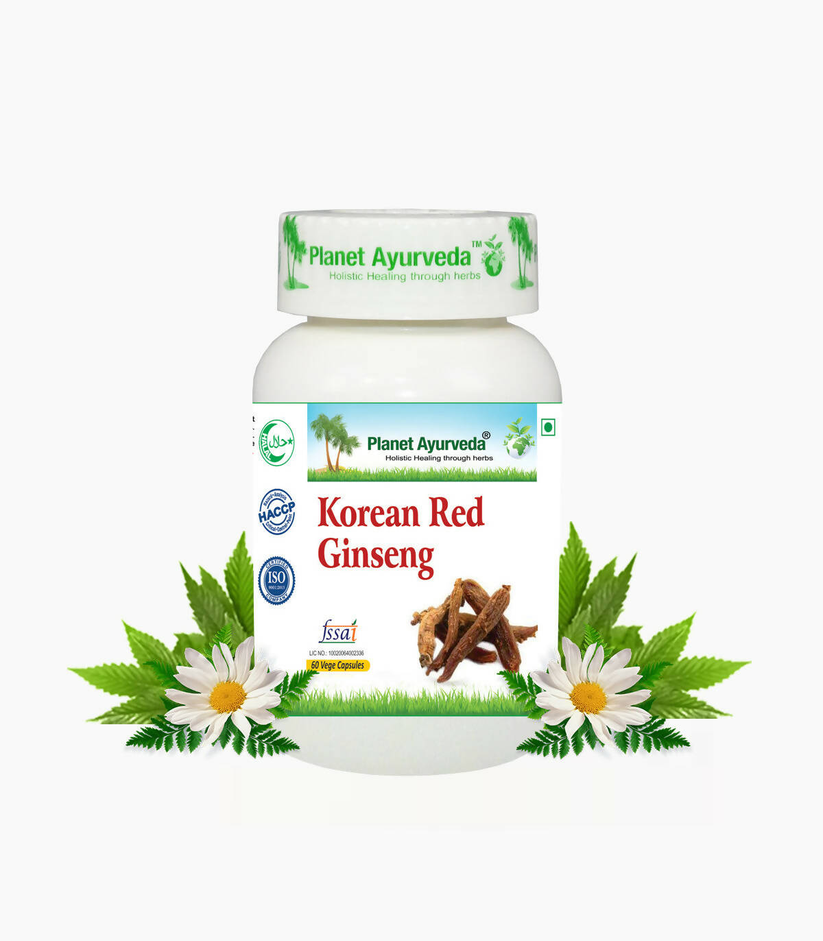https://cdn.shopify.com/s/files/1/1857/6931/products/Oc6VJEHwxc.jpg?v=1762350919
