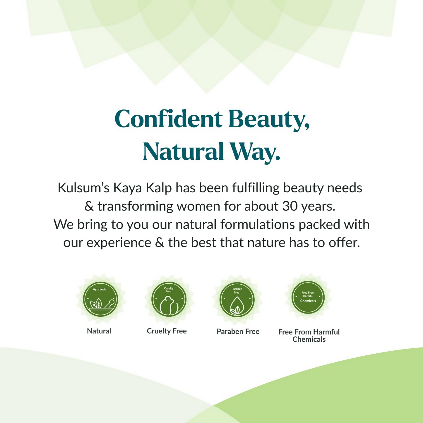 https://cdn.shopify.com/s/files/1/1857/6931/files/Ogj4WjNuN9.png?v=1727344907