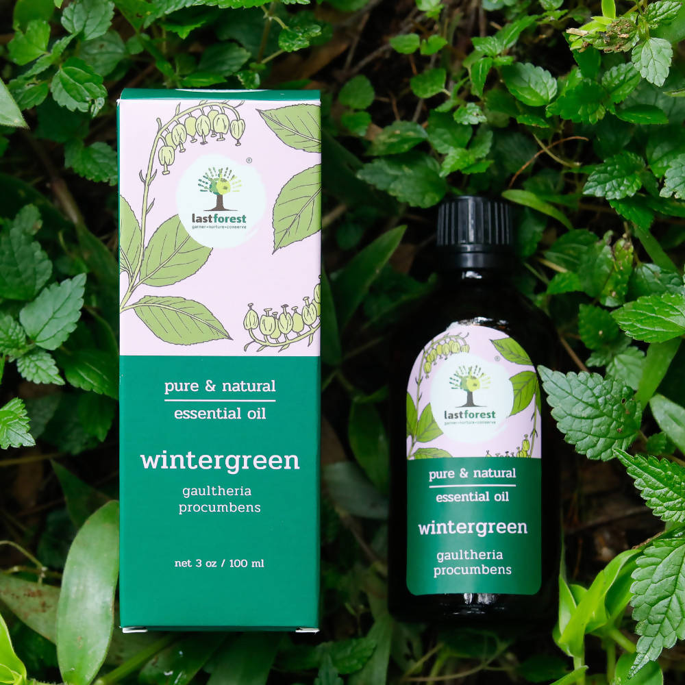 https://cdn.shopify.com/s/files/1/1857/6931/products/QfoxT9EjSV.jpg?v=1658475526