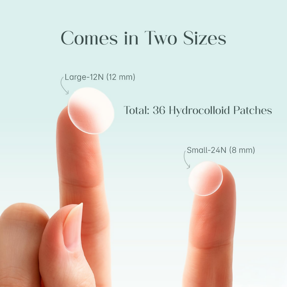 https://cdn.shopify.com/s/files/1/1857/6931/files/RNdFurfHsX.png?v=1776144883