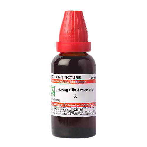 https://cdn.shopify.com/s/files/1/1857/6931/products/RkxPptuzqD.jpg?v=1631967743