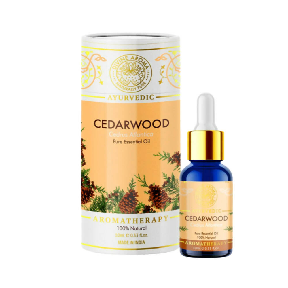 https://cdn.shopify.com/s/files/1/1857/6931/products/S6AdATLMqT.jpg?v=1668679767