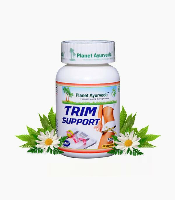 https://cdn.shopify.com/s/files/1/1857/6931/products/SDpKpvP4a5.jpg?v=1762350819