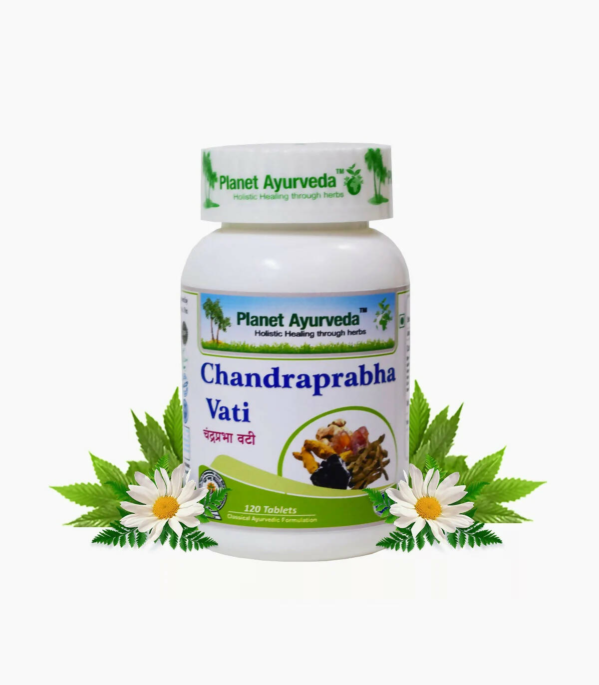 https://cdn.shopify.com/s/files/1/1857/6931/products/SRFAanJMnS.jpg?v=1762350632