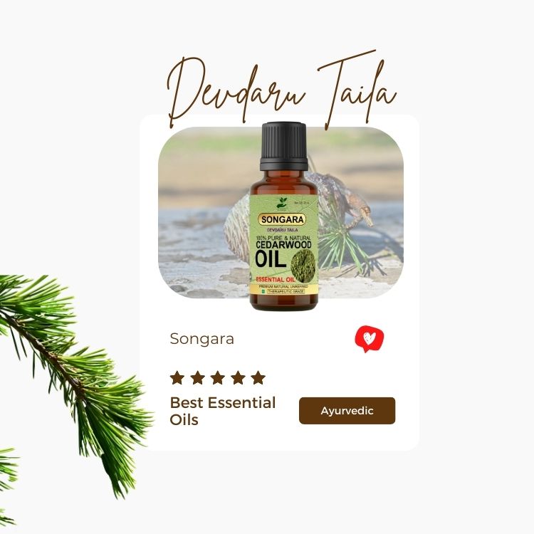 https://cdn.shopify.com/s/files/1/1857/6931/files/SongaraCedarwoodessentailoil.jpg?v=1778160433