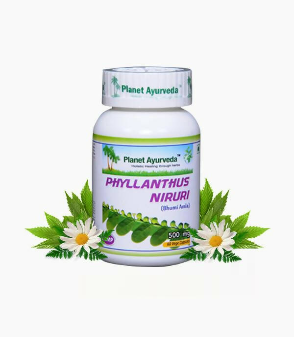 https://cdn.shopify.com/s/files/1/1857/6931/products/SpmE6JpA2A.jpg?v=1762350996