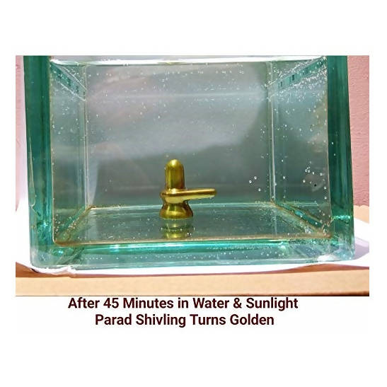 https://cdn.shopify.com/s/files/1/1857/6931/products/Sw9KSS4WJh.jpg?v=1624335039