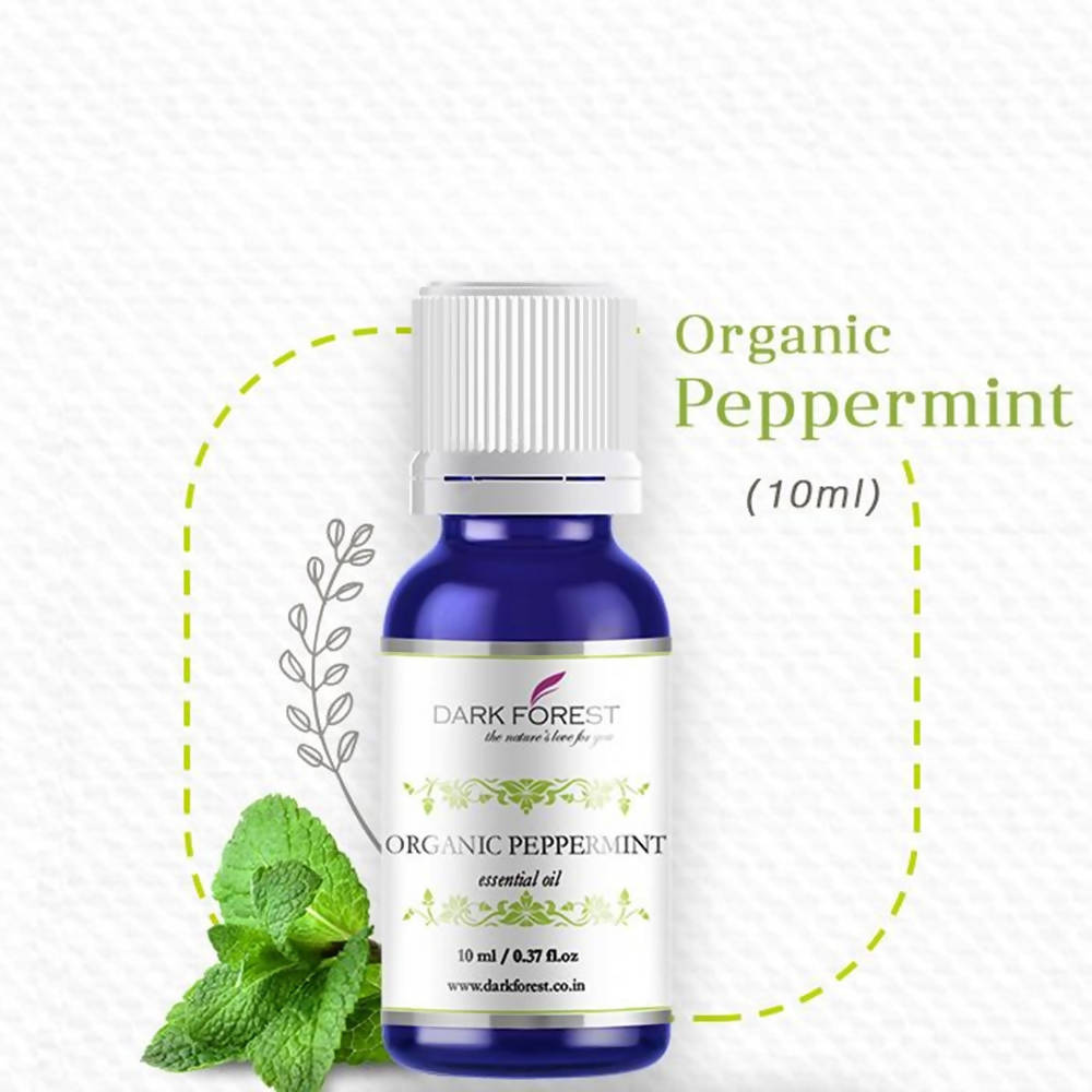 https://cdn.shopify.com/s/files/1/1857/6931/products/W9SjIYegfR.jpg?v=1622476105