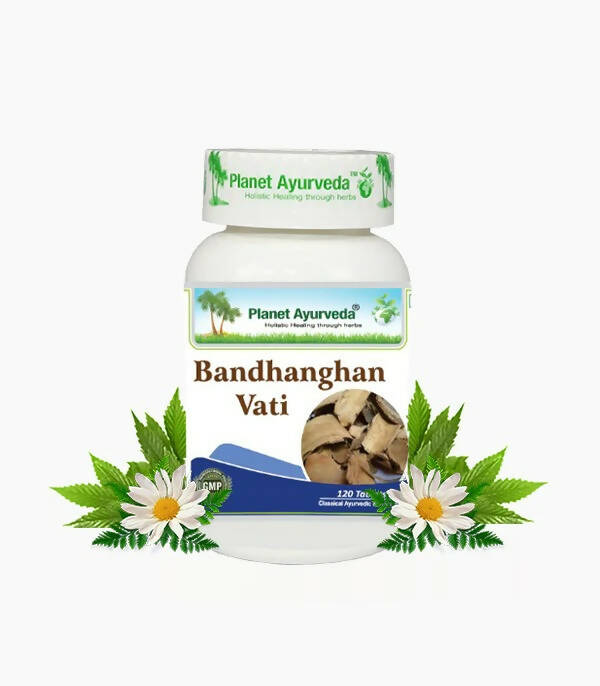 https://cdn.shopify.com/s/files/1/1857/6931/products/WkXlMdXIQz.jpg?v=1762350682