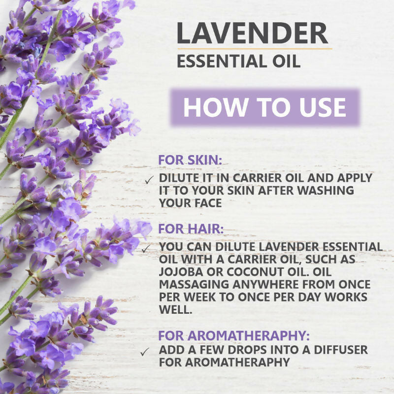 https://cdn.shopify.com/s/files/1/1857/6931/files/XNwW7umuZ4.jpg?v=1731578112