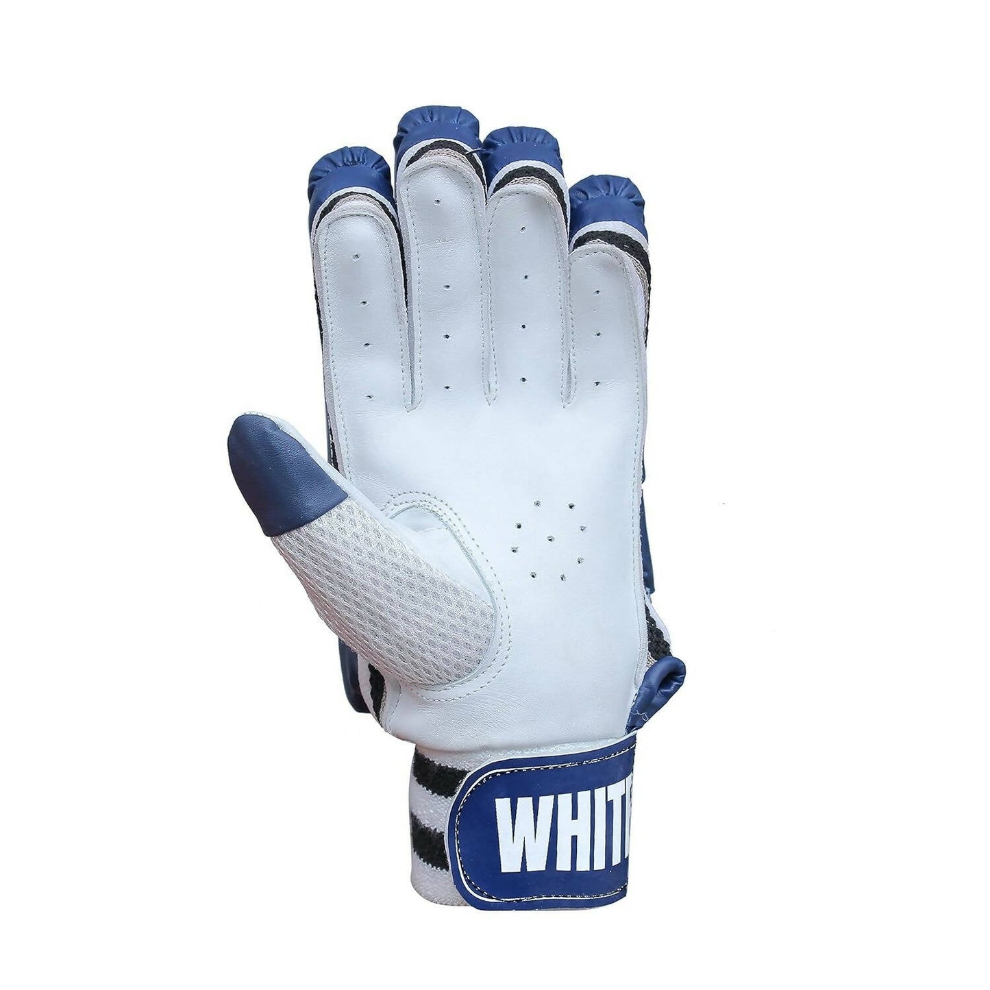 https://cdn.shopify.com/s/files/1/1857/6931/products/Y2Rq9IDmQt.jpg?v=1710767664
