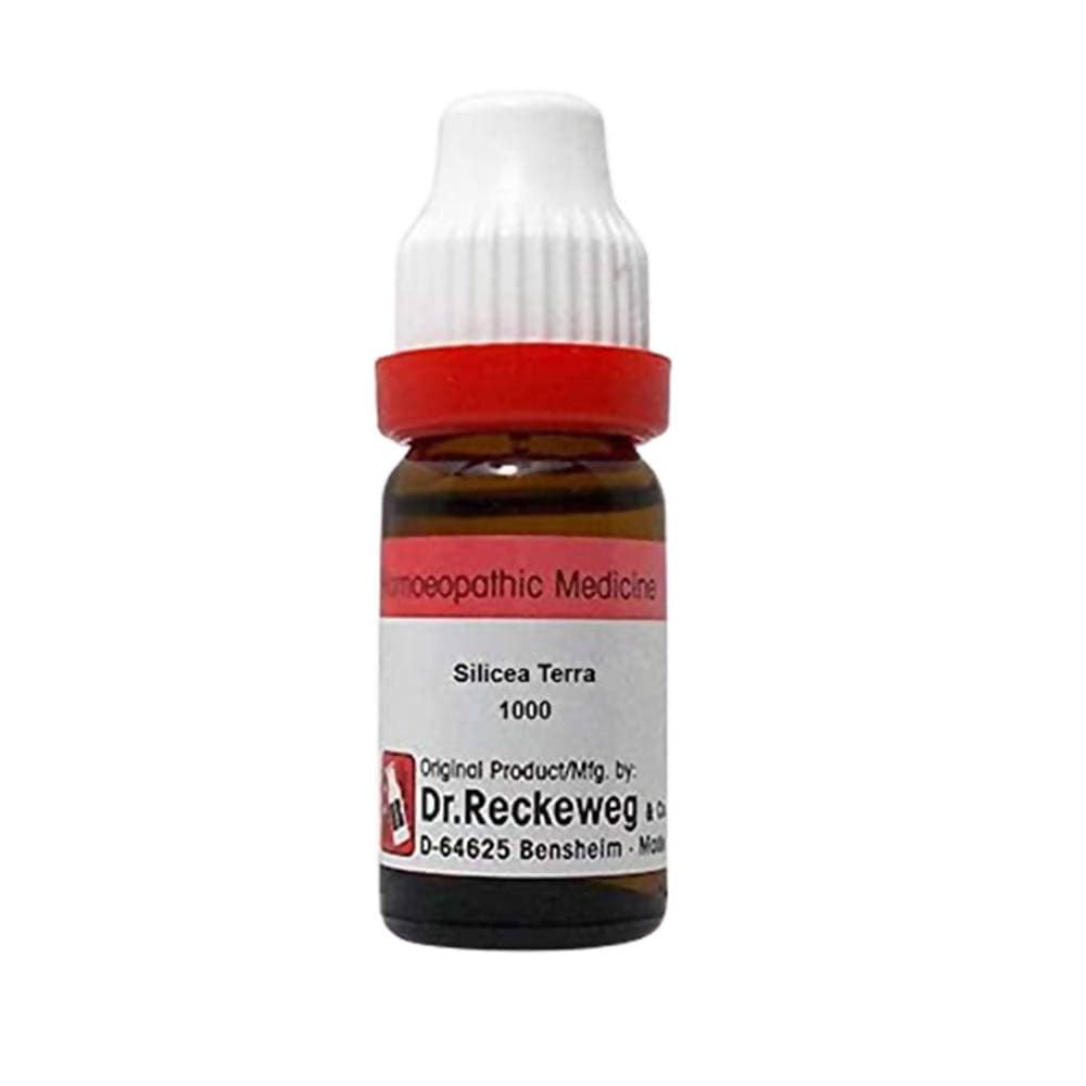 https://cdn.shopify.com/s/files/1/1857/6931/products/YWvDOthKqY.jpg?v=1613912102