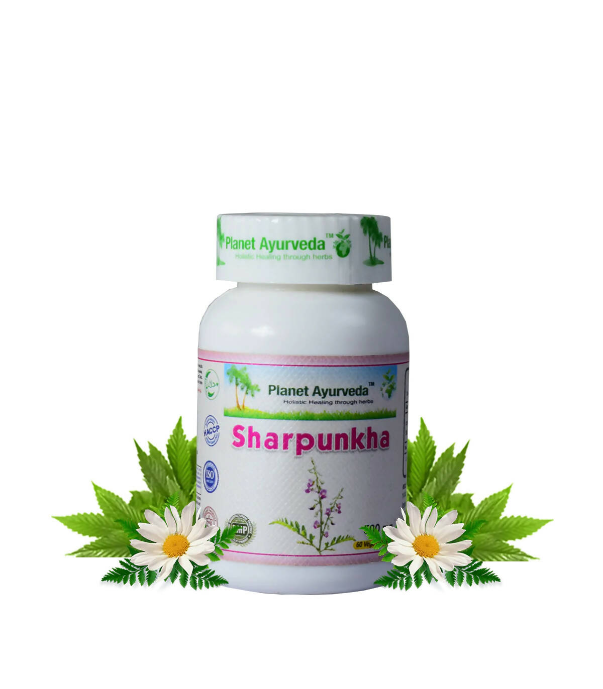 https://cdn.shopify.com/s/files/1/1857/6931/products/Yq6pVfqdBd.jpg?v=1762350894