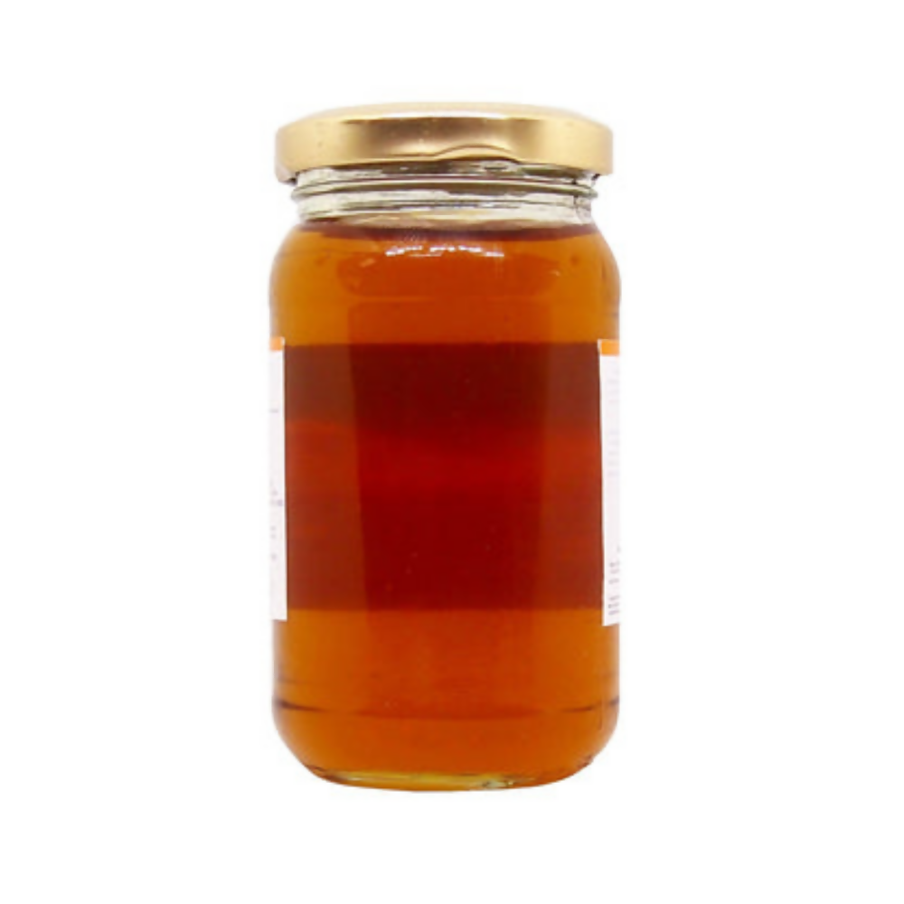 https://cdn.shopify.com/s/files/1/1857/6931/files/YuYCvVl7ux.png?v=1775727940