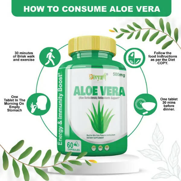 https://cdn.shopify.com/s/files/1/1857/6931/products/ZHZWk1aUDA.jpg?v=1672210837