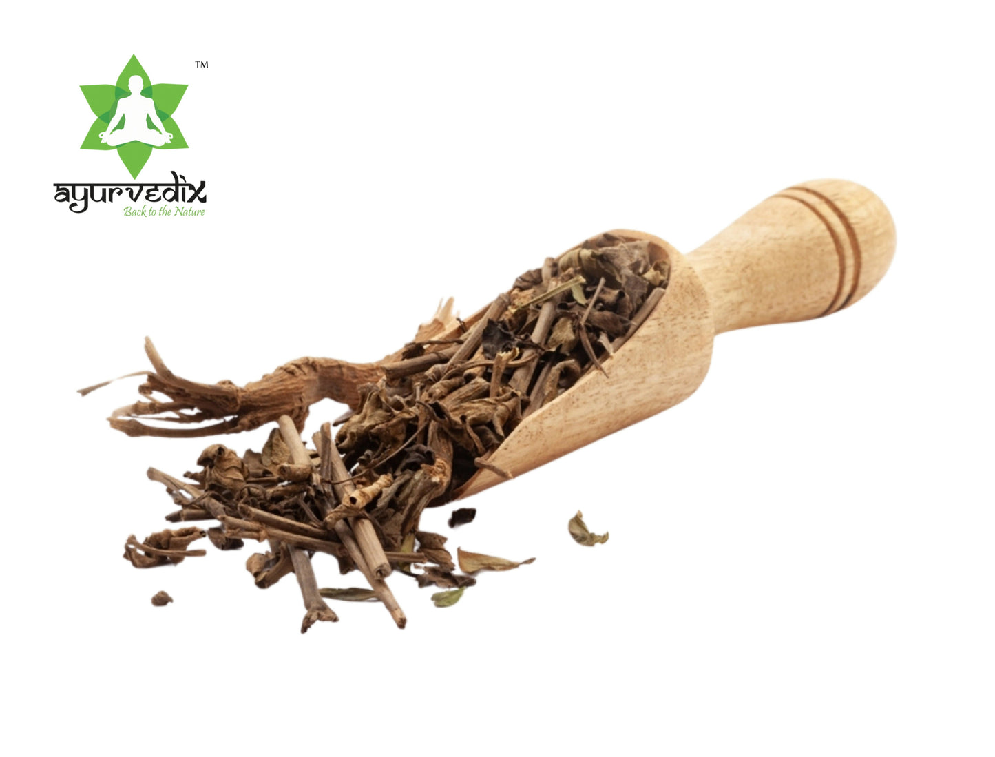 https://cdn.shopify.com/s/files/1/1857/6931/files/a9zQWFZvLz.jpg?v=1748005383