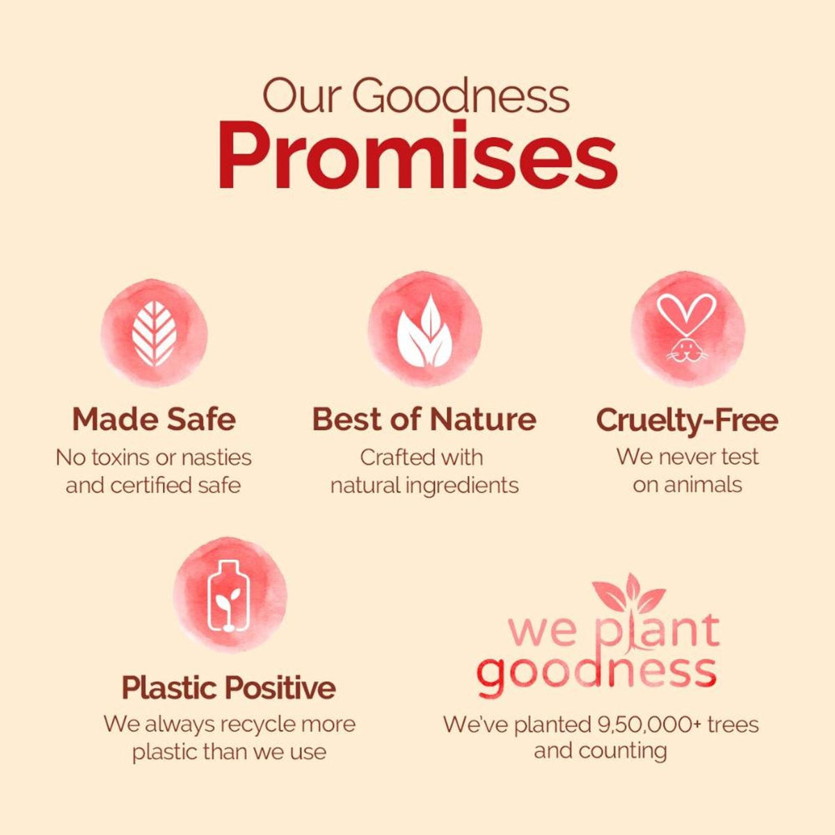 https://cdn.shopify.com/s/files/1/1857/6931/files/b2b52598904417324587_9.jpg?v=1779951842
