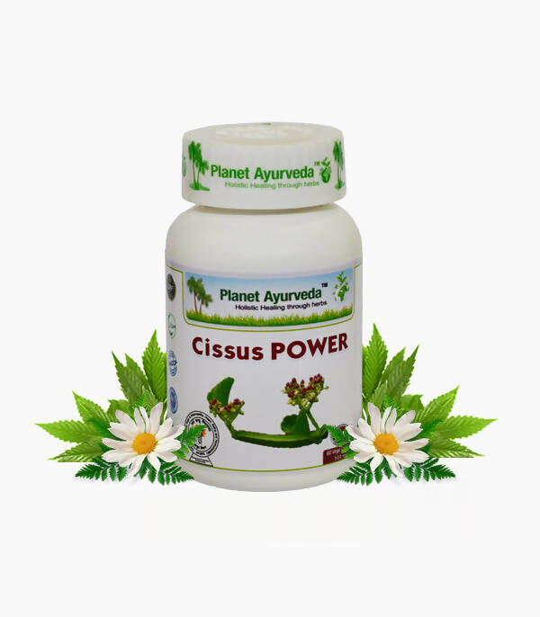 https://cdn.shopify.com/s/files/1/1857/6931/products/b72HCMIUxJ.jpg?v=1762350912