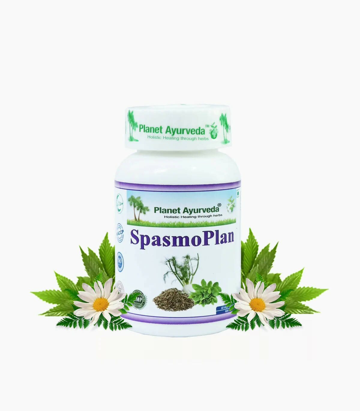 https://cdn.shopify.com/s/files/1/1857/6931/products/bBHbmkIGPZ.jpg?v=1762350661