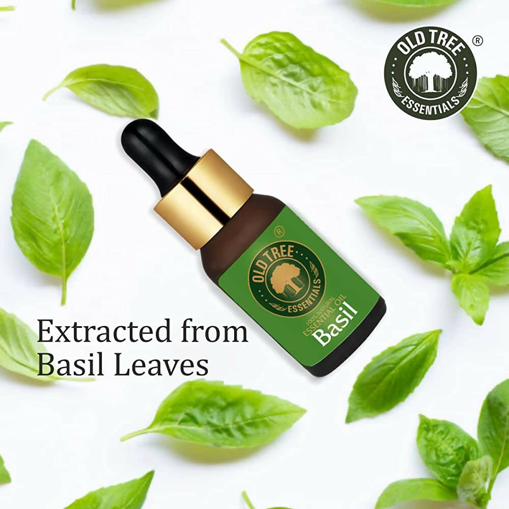 https://cdn.shopify.com/s/files/1/1857/6931/products/bg669U7NMp.jpg?v=1682769601