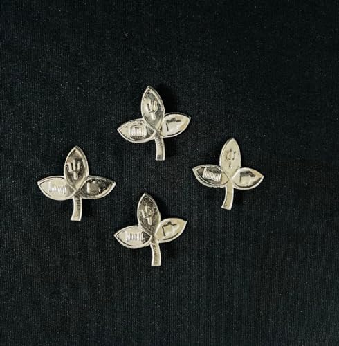 Image 1 of Default Title for the product Dista Silvers Bilva Patra 4.24g (Pack of 4)